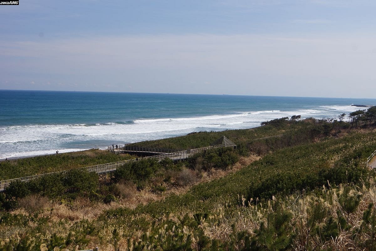 🌊 가시마나다 해변공원(가시마나다 가이힌코엔) 이미지 7